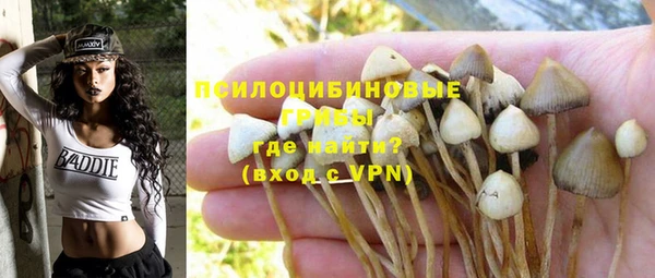 PSILOCYBIN Белокуриха