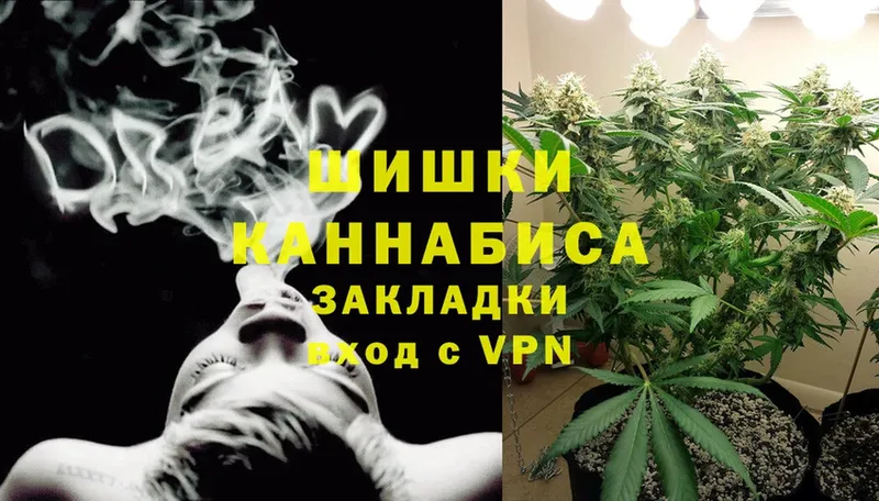 Бошки Шишки THC 21%  даркнет наркотические препараты  Магадан  МЕГА  